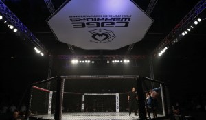 Deiveson Figueiredo Triumphs Over Marlon Vera in Bantamweight Clash